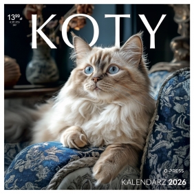 Kalendarz ścienny kwadrat - Koty