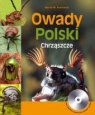 Owady Polski Chrząszcze  Kozłowski Marek W.