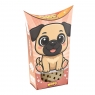 Mini Waffle - Puppies - Mops Wiek: 6+