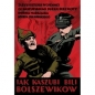 Jak Kaszubi bili Bolszewików - Łukasz Grzędzicki
