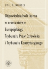  Odpowiedzialność karna w orzecznictwie Europejskiego Trybunału Praw