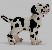 Dog niemiecki szczenię (16385) - <br />