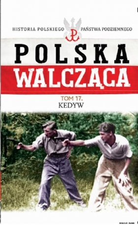 Polska Walcząca Tom 17 Kedyw - <br />
