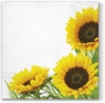 Serwetki TL342000 Autumn Sunflower