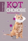 Kot w chorobie Adrianna Iwan