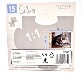 Silver - Puzzle 6: Kot