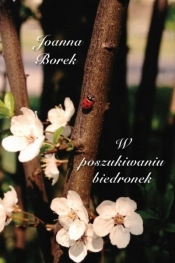 W poszukiwaniu biedronek
