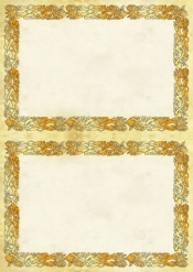 Dyplom Galeria Papieru celtic A4 170 g (219417)
