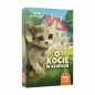 Gra o kocie w kłopocie (nowe wydanie) (56851)