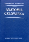 Anatomia człowieka