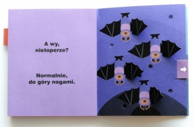 Jak zasypiasz? (pop-up) - Bernard Duisit, Olivia Cosneau