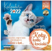 Kalendarz 2022 ścienny Classic Koty (KALCLASQKOTY22)