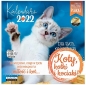 Kalendarz 2022 ścienny Classic Koty (KALCLASQKOTY22)