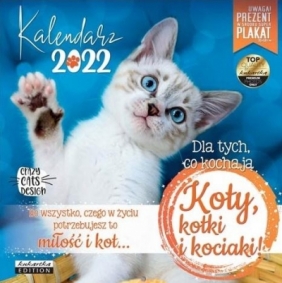 Kalendarz 2022 ścienny Classic Koty (KALCLASQKOTY22)