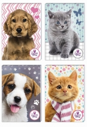 Notes A6 Sweet Pets 30 kartek z poddrukiem 12 sztuk mix