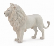 Biały lew (88785)
