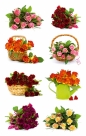 Naklejki kreatywne Z Design - Kwiaty, bukiety (54485)