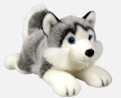 Husky leżący 34cm