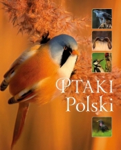 Ptaki Polski (Uszkodzona okładka)