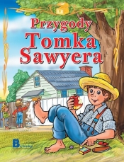 Przygody Tomka Sawyera - Jana Eislerova