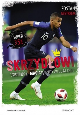 Skrzydłowi Technicy magicy indywidualiści (Uszkodzona okładka) - Jarosław Kaczmarek