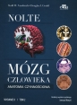 Mózg człowieka Anatomia czynnościowa mózgowia Tom 2 - T.W. Vanderah, Douglas J. Gould