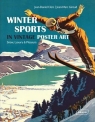 The Winter Sports in Vintage Poster Art