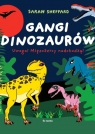 Gangi dinozaurów. Uwaga! Mięsożercy nadchodzą! Sarah Sheppard