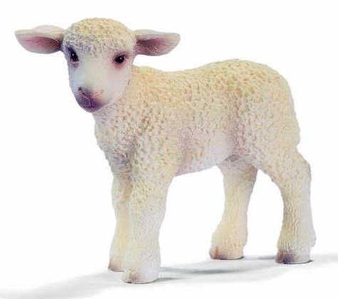 SCHLEICH STOJĄCA OWIECZK A