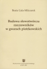 Budowa słowotwórcza rzeczowników w gwarach piotrkowskich Gala-Milczarek Beata