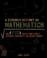A Curious History of Mathematics The Big Ideas From Early Number Concepts Levy Joel