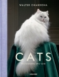 Cats - Walter Chandoha