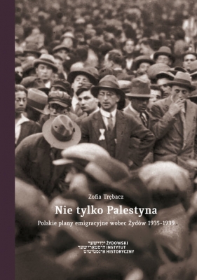 Nie tylko Palestyna (Uszkodzona okładka) - Zofia Trębacz