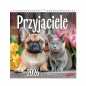 Kalendarz ścienny kwadrat - Przyjaciele