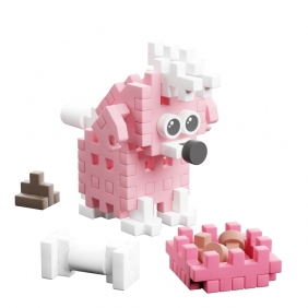 Mini Waffle - Puppies - Pudel