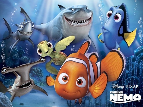Puzzle 60 Gdzie jest Nemo