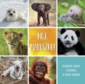 National Geographic Kids. Hej maluszku! - Stephanie Warren Drimmer