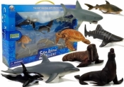 Figurki edukacyjne morskie zwierzęta