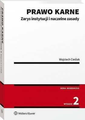 Prawo karne. Zarys instytucji - Wojciech Cieślak