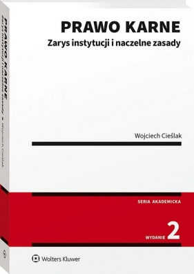 Prawo karne. Zarys instytucji - Wojciech Cieślak