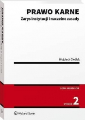 Prawo karne. Zarys instytucji - Wojciech Cieślak