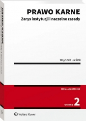 Prawo karne. Zarys instytucji - Wojciech Cieślak