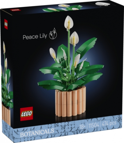 LEGO Botanicals Skrzydłokwiat 11504
