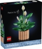 LEGO Botanicals Skrzydłokwiat 11504