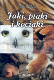 Jaki ptaki i kociaki