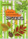 Leśna kolorowanka. Drzewa Andżelika Bielańska, Eliza Goszczyńska