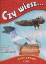 Czy wiesz... Kto jest królem przestworzy