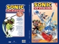 Sonic the Hedgehog 9. Kryzys 1 - Ian Flynn, Tracy Yardley, Adam Thomas Bryce