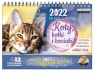 Kalendarz 2022 pocztówkowy Koty (KALPOCZTKOTY22)
