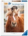 Ravensburger, Puzzle 500: Kucyk i kot (12001901) Wiek: 12+